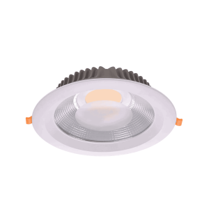 Ceiling Lights COB Downlight 15W