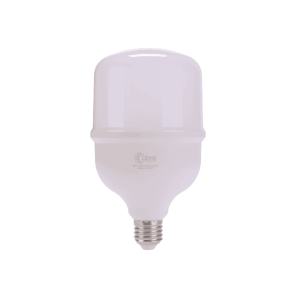 LED BULBS 30w t bulbs