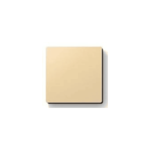BLANK PLATES