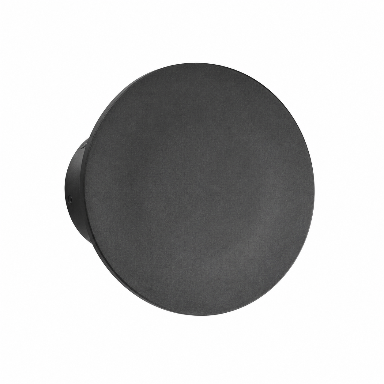Levin Backlit Wall Light 12W IP65